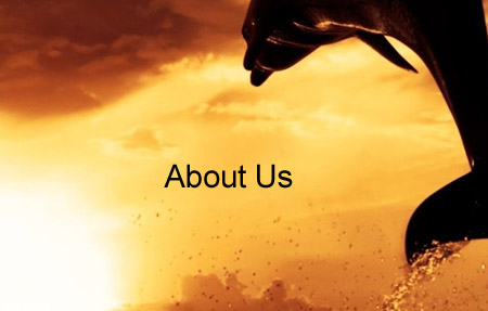 Generic4all Global - About Us